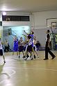 Basket 242005